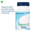 Nutra BioGenesis - Vitamin D 5000 - Vitamin D3 5000 IU to Help Support Calcium Absorption and Immune Function - 90 Softgels