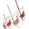 Watermelon Birthday Party Cups 12 oz Disposable Plastic Lids Straws (12 Count)