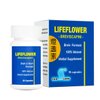 Lifeflower, 100% All Natural, Youthful brain Herbal Supplement, Support Cerebrovascular System, Improve Memory, 30 Capsules