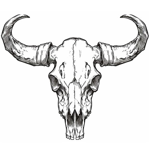 Dopetattoo 6 sheets Temporary Tattoos for Men and Women Buffalo Skull Sketch Bull Bones for Men Temporary tattoo for Women Neck Arm Chest for Woman
