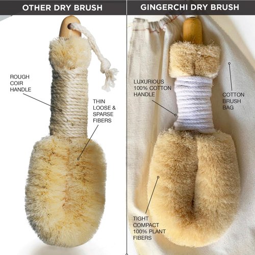 Ginger Chi Dry Brush for Skin, Dry Brushes for Body - Natural Bristle Brush for Dry Brushing Skin (Jute Dry Brush)