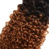 22 24 26 inch Brown Human Hair Bundles Ombre Human Hair Bundles 1b/30 Kinky Curly Bundles Two Tone Black Roots to Brown Bundle Human Hair Extensions