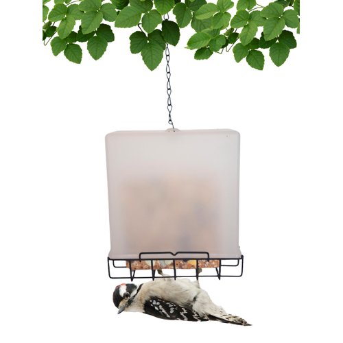 Songbird Essentials Suet Saver Upside Down Suet Feeder, Rigid Plastic Case with Suet Cage Bottom, Holds One Bird Seed Suet Cake