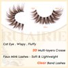 Brown Lashes Wispy Cat Eye Lashes Brown Eyelashes Clear Band False Eyelashes 7 Pairs Fake Eyelashes Fluffy Strip Lashes by Ruairie