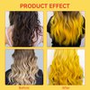 DISAAR Beauty Speedy Hair Color Shampoo 100% Cover Gray White Hair Easy To Use Long Lasting 400ml/13.53fl.oz (Gold)