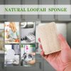 Wangda.G Upgrade Natural Loofah Kitchen Sponges 6 Pack, eco Friendly sponges for Dishes ,Reusable Kitchen sponges and scrubbers,luffa sponges Dish sponges for Washing Dishes dishwashing sponges