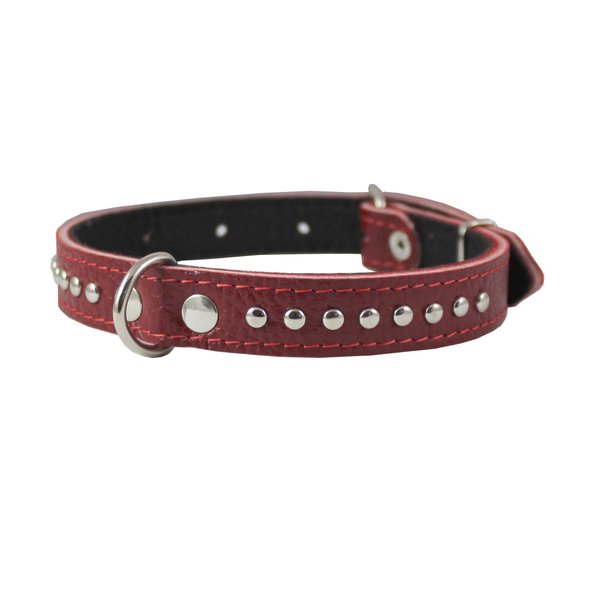 Dogs My Love Genuine Leather Studded Padded Dog Collar 15" x5/8" Wide Fits 10"-13" Neck, Pomeranian, Chihuahua, Puppies