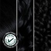 Garnier Hair Color Nutrisse Nourishing Creme, 11 Blackest Black (Peppercorn) Permanent Hair Dye, 2 Count (Packaging May Vary)