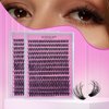 ALUDALASY Lash Clusters 280PCS Wispy Lash Clusters 9-16mm Fluffy Lash Clusters D Curl 30D 40 D Natural Lash Clusters DIY Lash Extension for Home Use(30+40D)