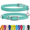 CollarDirect Leather Cat Collar with Bell - Kitten Collar, Small and Big Cat Collar for Boy Cats, Girl Cats with Safety Elastic Strap (Neck Fit 8"-11", Mint Green)
