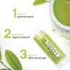 Hurraw! Green Tea Lip Balm, 3 Pack: Organic, Certified Vegan, Cruelty and Gluten Free. Non-GMO, 100% Natural Ingredients. Bee, Shea, Soy and Palm Free. Made in USA