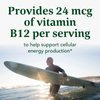 ​MegaFood Vitamin B12 Energy Gummies - Vegan - With Methyl B12 Vitamins to Support Cellular Energy Production - Ginger - Daily Vitamin B12 Supplement - USDA Organic - 70 Gummies, 35 Servings