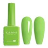 CANNI Pastel Lime Green Gel Nail Polish, 1Pcs Bringt Sage Light Green Gel Polish Mint Green Color Nail Polish Gel High Gloss Soak Off U V Gel Nail French Nail Manicure Salon DIY