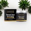 Dead Sea Mud Mask for Face and Body - Deep Cleansing, Exfoliating, Detoxifying for Acne, Blackheads, Oily Skin, and Pore Clearing - 100% Natural Mineral-Rich Formula for Men and Women - 8.8 oz