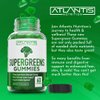 Supergreens Gummies - Daily Green Superfoods Supplement with Spinach, Broccoli, Moringa, Beet Root, Celery, Green Tea, & Acai for Immunity Support - Natural Raspberry Flavor, 60 Supergreen Gummies