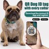 BRONZEDOG Leather Dog Collar with QR ID Tag Basic Pet Collars for Small Mini Dogs Cats Puppies (9-11 Inch (Pack of 1), Black & Gold Buckle)