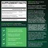 Rhodiola Rosea Supplement - Herbal Adaptogen for Mental and Physical Performance Support (3% Salidrosides, 3% Rosavins Extract) - 60 Count - Vegan, Non-GMO, and Gluten-Free Capsules - 2 Month Supply