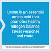 Life Extension L-Lysine, 620 mg, Essential Amino Acid for Healthy nitrogen Balance, Calcium Metabolism, Stress Response & More, Gluten-Free, Non-GMO, Vegetarian, 100 Capsules