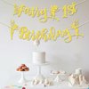 Ushinemi Pre-Strung Fairy First Birthday Decorations, NO DIY Gold Glitter Fairy Birthday Party Banner 1st Fairy Theme Party Supplies
