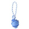 Rubber Dental Ball with Rope Dog Toy (Blue)