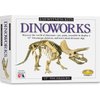 Eyewitness Kits Perfect Cast Dinoworks 15" Triceratops Cast, Paint, Display and Learn Craft Kit