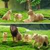 Toymany 6PCS Realistic Lion Figurines with Lion Cubs, 2-5" Jungle Animals Figures Family Set Includes Baby Lions, Educational Toy Cake Toppers Christmas Birthday Gift for Kids Toddlers