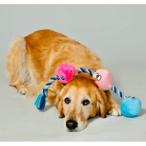 RASCAL Scruffy Tug Buttons - Dog Toy - All Breeds