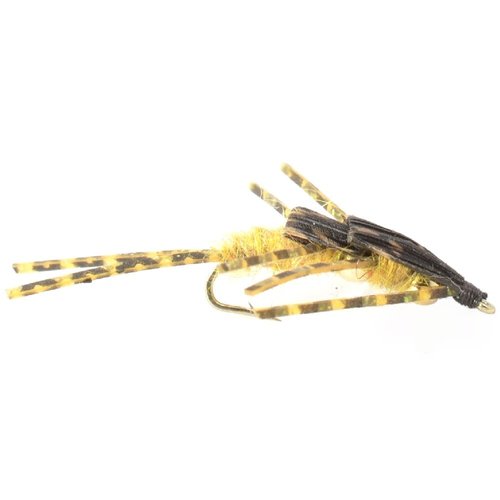 The Fly Fishing Place Trout Fly Assortment - Double Bead Nymph Collection 1 Dozen Weighted Nymph Fly Fishing Flies - Hook Sizes 8, 10, 12