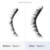 Better Not Younger Superpower Lash Serum (7ml) Lash Conditioner with Peptides, Vitamins & Nutrients - Lash Enhancing Serum for Thicker, Fuller and Longer Lashes - Cruelty-Free Eyelash Serum