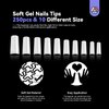 SAVILAND Acrylic Nail Tips with Glue: Half Cover False Nail Tips 10 Sizes for Acrylic Nails Professional French Tips and Acrylic Nail Brush 8/10/14 Fast-Dry Nail Glue & Acrylic Nail Stater Kit Natural