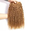 FEELME Honey Blonde Brazilian Hair Kinky Curly Bundles Color 27 Curly Human Hair Bundles Unprocessed Virgin Brazilian Curly Hair Bundles 100% Human Hair Extensions 3 Bundles 10 12 14