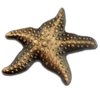 PinMart's Starfish Pin and Story Make a Difference Lapel Pin on Card