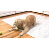 Gazoos Interactive Dog Toy - Modo Dodo