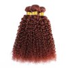 Reddish Brown Curly Weave Human Hair Bundles Color 33 Human Hair Copper Red Brown Kinky Curly Bundles Double Weft Remy Hair Extensions Wet and Wavy Bundles Silky and Soft 26 28 30 Inch