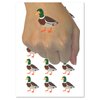 Standing Mallard Duck Temporary Tattoo Water Resistant Fake Body Art Set Collection - 15 2" Tattoos (1 Sheet)