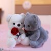 Ruzucoda Plush Teddy Bear with Rose Stuffed Animals Toys Dolls Valentine's Day Gifts for Girls Girlfriend Lover 9 Inches (Brown)