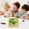 NAODONGLI Wooden Montessori Toys for 1 2 3 Year Old Toddlers,Wood Shape Sorting Farm Harvest Games Toys for Ages 2-4,First Birthday Gifts for Ages 1+ Baby Boys Girls