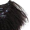 ZigZag Hair Afro Kinky Curly Clip In Human Hair Extensions Brazilian Virgin African American 4B 4C Clip in Hair Extensions Natural Clip Ins For Black Women (14inch, 4B 4C)