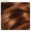 Adore Semi Permanent Hair Color - Vegan and Cruelty-Free Hair Dye - 4 Fl Oz - 058 Cinnamon (Pack of 2)