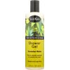 ShiKai Shower Gel, Cucumber Melon, 12-Ounces