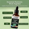 Thyroid Support Drops, Thyroid Support – Mineral & Herbal Supplement with Selenium, Zinc, L-Tyrosine & Ashwagandha – Daily Energy, Metabolism & Hormonal Balance (2)