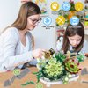 Building Blocks for Adults- Succulent Building Toys, Bonsai Botanical Collection Toy Building Sets, Plants and Flowers DIY Home Decoration, Gifts for Women Kids (Not Compatible with Lego)