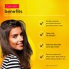 Color Oops Extra Strength Hair Color Remover, 1 Application, Hair Dye Remover Processes in 20 Minutes, Safely Removes Permanent & Semi-Permanent Hair Color, Ammonia & Bleach Free