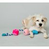RASCAL Scruffy Tug Buttons - Dog Toy - All Breeds