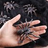 4 PCS Realistic Spider Figures, Gawertoy Giant Spider Action Models Plastic Animal Fake Spider Toys Educational Learning Toys Birthday Gift April Fools' Day Halloween Prank Props Christmas Party Favor