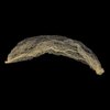 Askuang 20PCS of Blonde Hair Net Invisible Elastic Edge Mesh Stretchable Hair Nets for Women Girls Ballet Bun Food Service Sleeping Individual Package Hairnet 20" (50 cm) Blonde