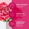 Andalou Naturals 1000 ROSES® Biome Balancing Day Cream