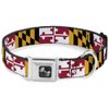 Buckle-Down Dog Collar Seatbelt Buckle Maryland Flags 16 to 23 Inches 1.5 Inch Wide, Multicolor, Medium (DC-W33927-WM)