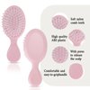 8 Pcs Mini Hair Brush, Mini Detangling Brush, Detangling Hair Combs Set, for Curly Hair, Wet Dry Hair Tangle Brush Multicolor