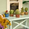 iLAND Miniature Dollhouse Accessories and Furniture, Dollhouse Table w/Succulent Dollhouse Plants 8pcs Fit Dollhouse & Fairy Garden
